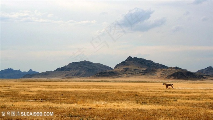 草地山脉美景壁纸
