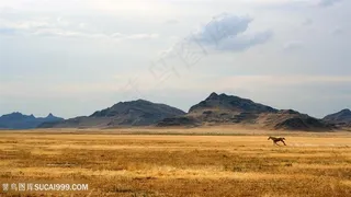 草地山脉美景壁纸