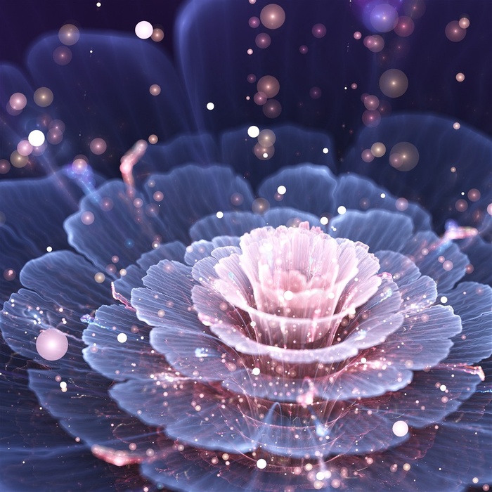 绚丽的3D立体花朵素材图片3D图片