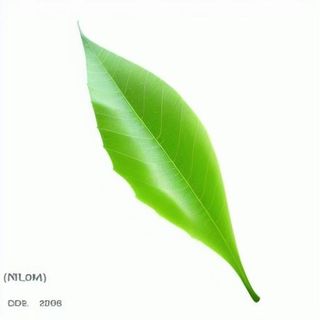 一片绿色叶子png免抠