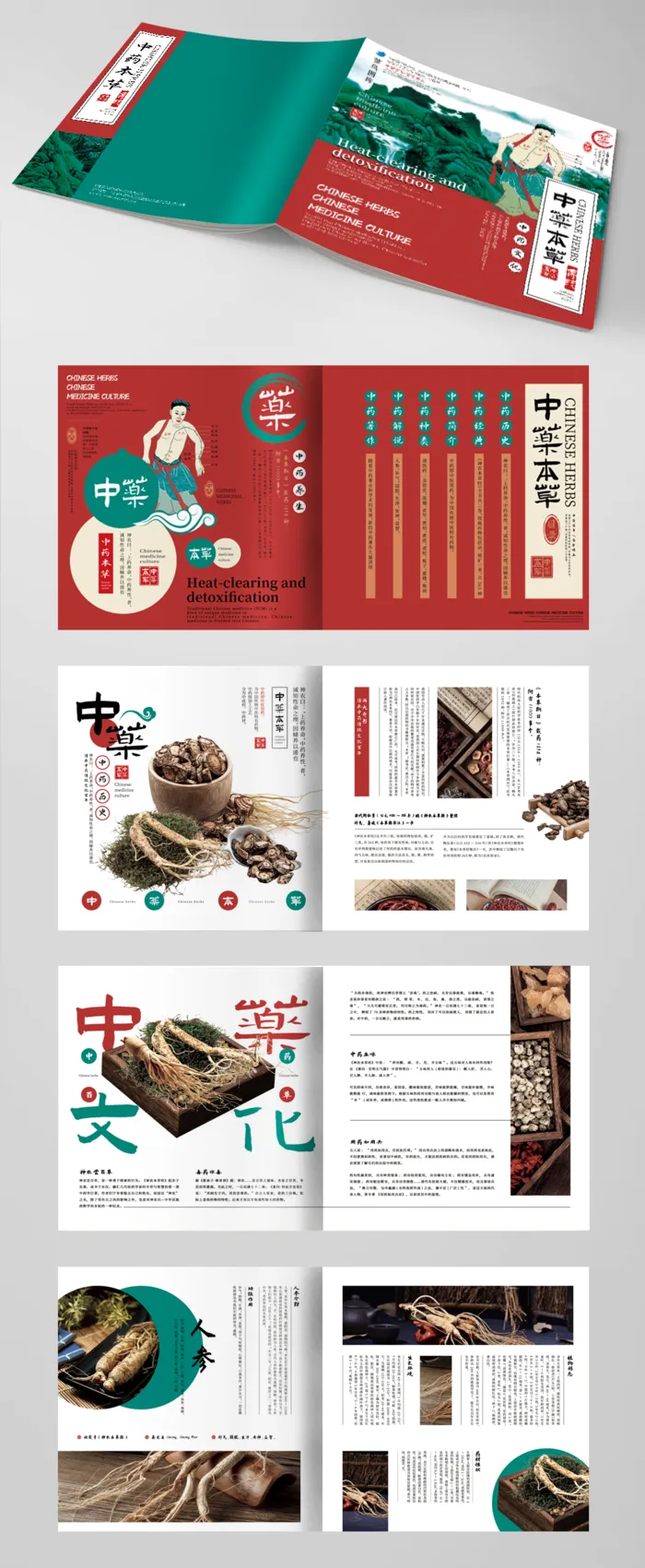 绿色传统中医药材画册设计psd模版下载
