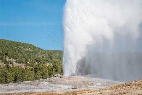 蓝天下的喷泉和树林