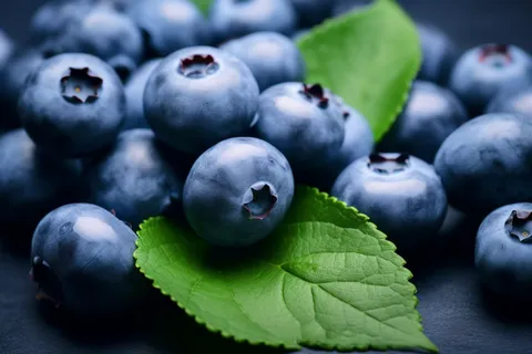 蓝莓水果摄影图