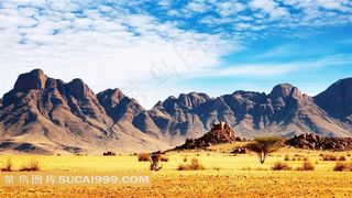 干旱沙漠里的景象