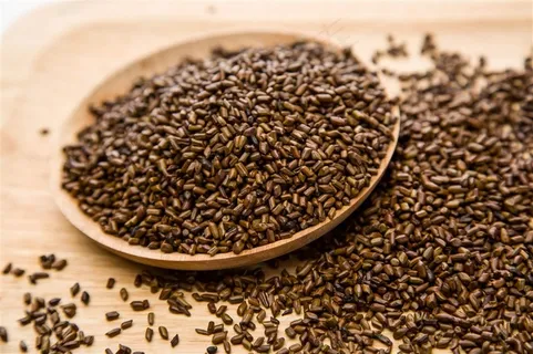 决明子茶茶叶茶盘摄影 决明子茶茶叶茶盘摄影