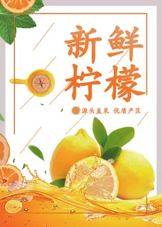 柠檬，橘色，橙色，海报，桔子，海报海报水果