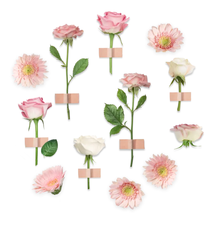 鲜花玫瑰免扣素材