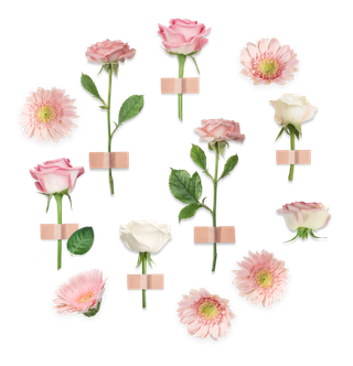 鲜花玫瑰免扣素材