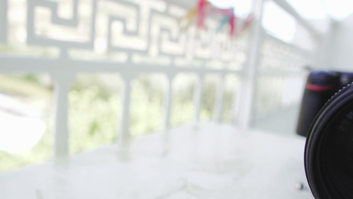 带长焦镜头的专业相机