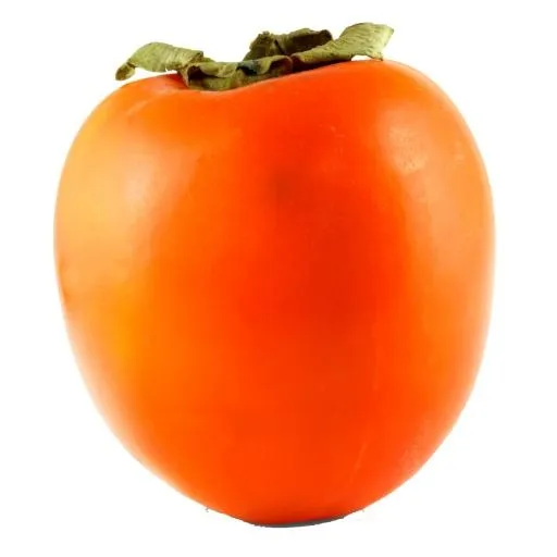 柿子 PNG免抠(1200x1200)