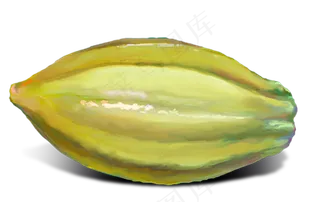 可可果实可可粉免抠 (28)