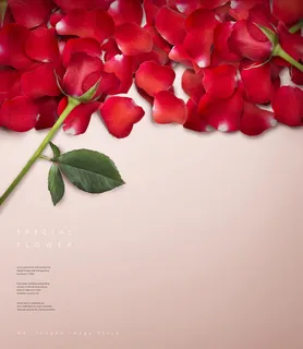 韩式花卉节日背景