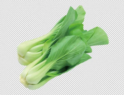 油菜免扣素材 油菜免扣素材
