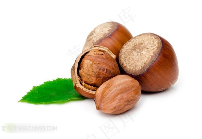 板栗高清图片摄影