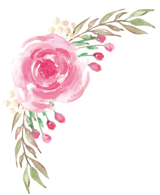 唯美森系手绘水彩花朵 免抠