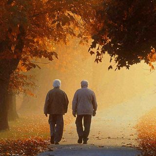 父母年长老人父亲节母亲节温馨落日背影