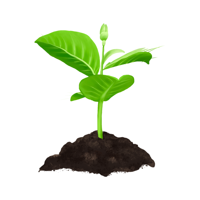 植树节免扣绿色卡通手绘小草