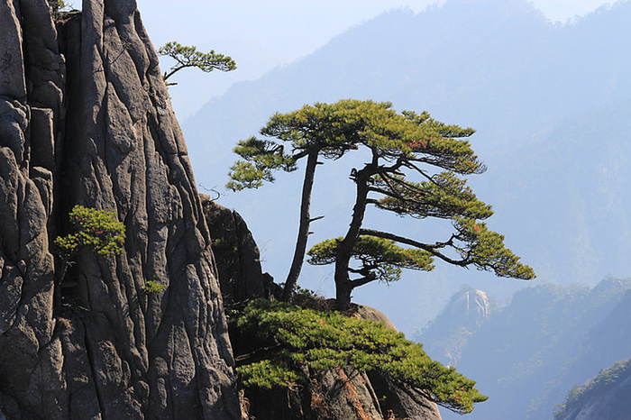 风景 天空 旅行美丽 (39)