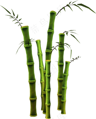 PNG 绿色竹子 