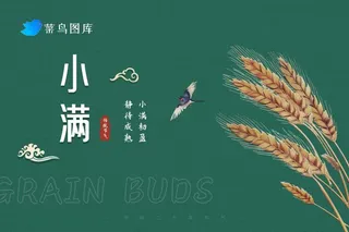 小满国潮绿色简约banner