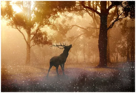 装饰画|客厅|海报画|电表箱装饰画|挂画