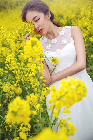 油菜花地中的白裙美女