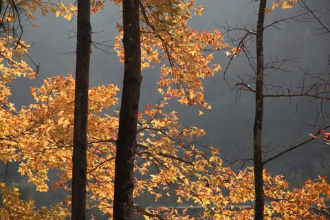 风景|摄影|高清|原创|山水 风景|摄影|高清|原创|山水