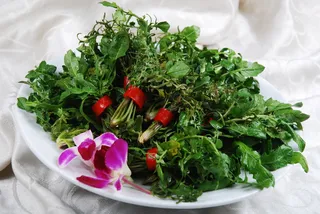 0911LCS-741炝拌荠荠菜