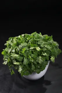 香菜 (01)
