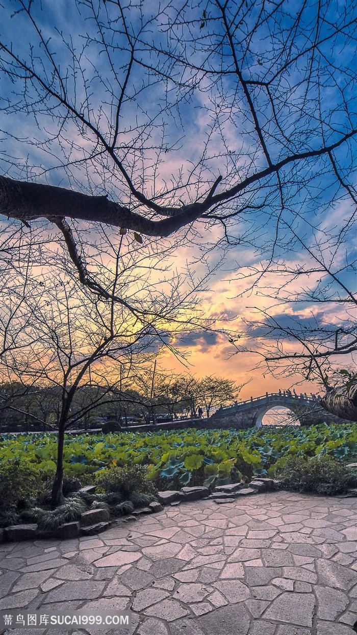 无锡鼋头渚日落