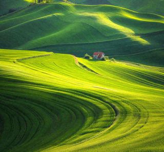 春天连绵山脉绿色草地郊游，清新惊蛰春分摄影图