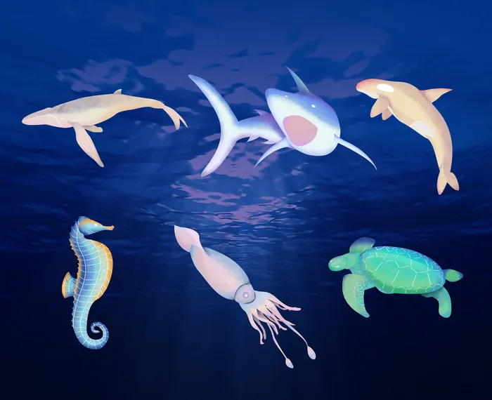 海洋生物手绘插画psd模版下载