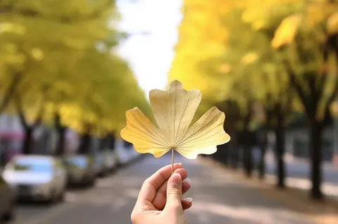 手拿着一片黄叶子秋天背景