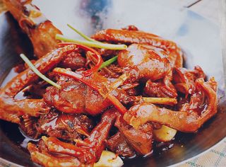 89XC-489铁盔将军鸭