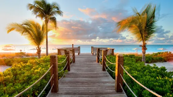 唯美海边椰树风景 唯美海边椰树风景
