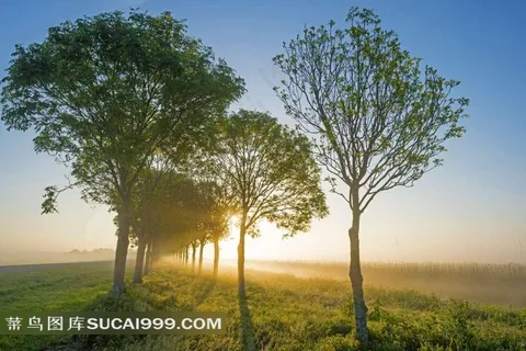 乡村的田园风景