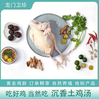 淡蓝简约风鸡汤主图