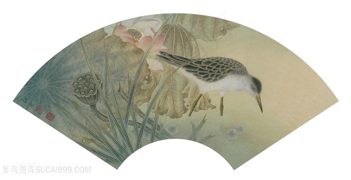 现代高清工笔画雀鸟荷花国画图片