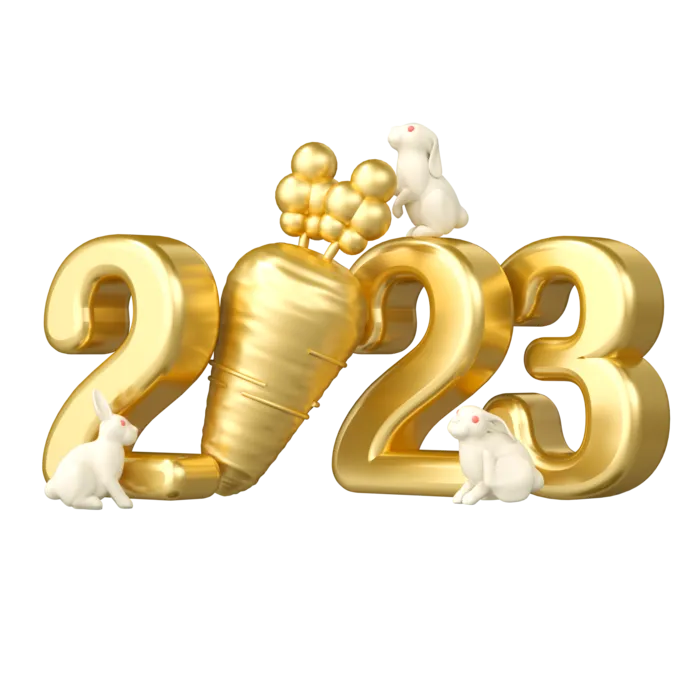 3D立体数字2023新年跨年兔子兔年萝卜
