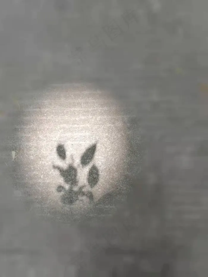 灰白黑光影巧合