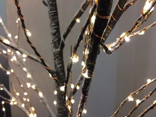 圣诞节, 祝贺, 盛宴, 明信片, 