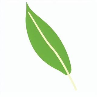 一片绿色叶子png免抠