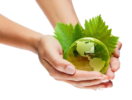 现代农业绿色环保现代农业