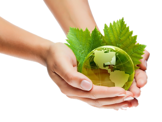 现代农业绿色环保现代农业