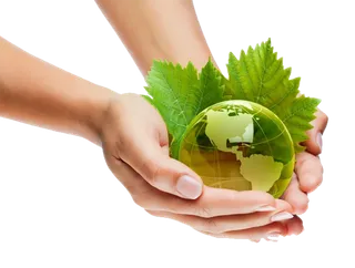 现代农业绿色环保现代农业