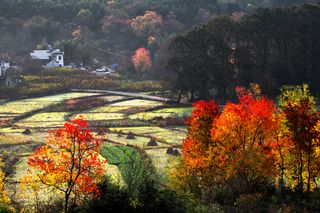 安徽塔川风景图片-第13张