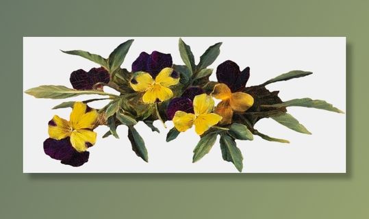 复古油画质感宫廷花卉植物花朵鲜花拼贴图案PNG免抠图片设计素材