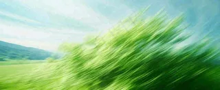 高山模糊绿树植物光影，大自然摄影图