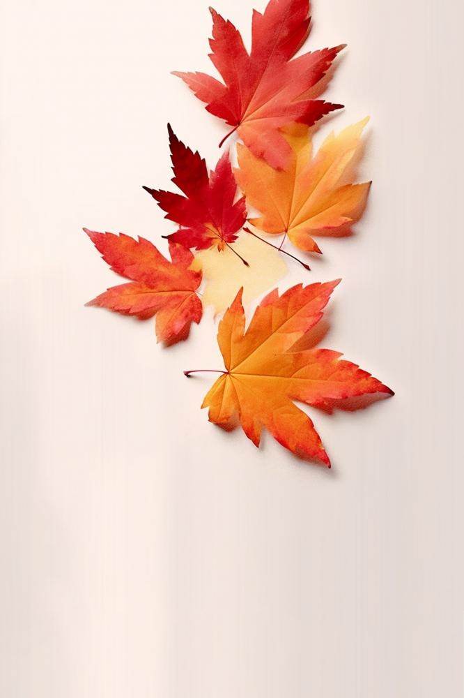 秋叶橙红色意境简约大气节气海报背景