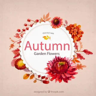 免抠花卉装饰标签 免抠花卉装饰标签